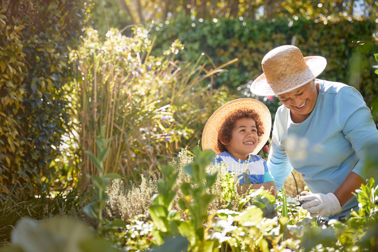 A gut friendly garden starts with planting the best vegetables for gut health! Image: A grandmother and her grandson wearing straw hats and working in a gut friendly garden on a sunny day. 