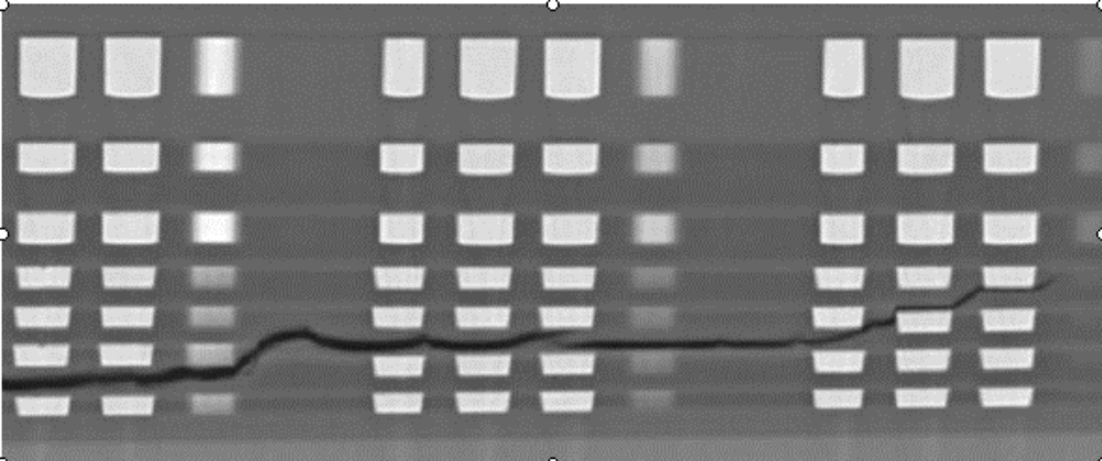Die crack detection